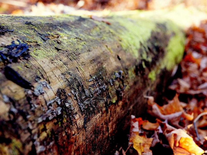 sudoku medium screenshot 2